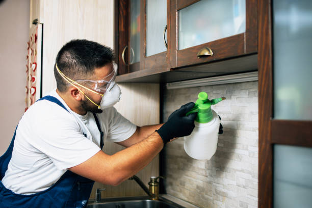 Best Affordable Pest Control Services  in Columbia Heights, MN