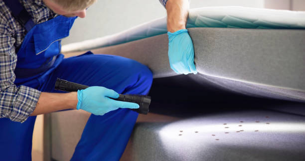 Best Best Pest Control Companies  in Columbia Heights, MN