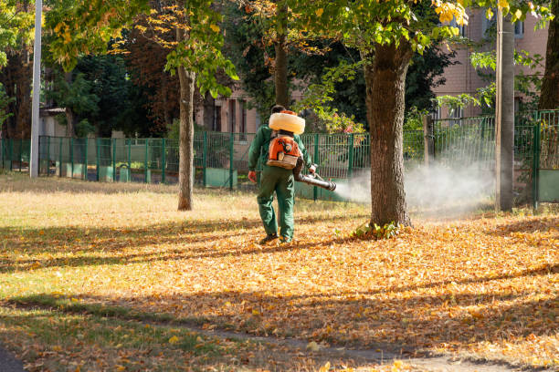 Best Bird Control  in Columbia Heights, MN